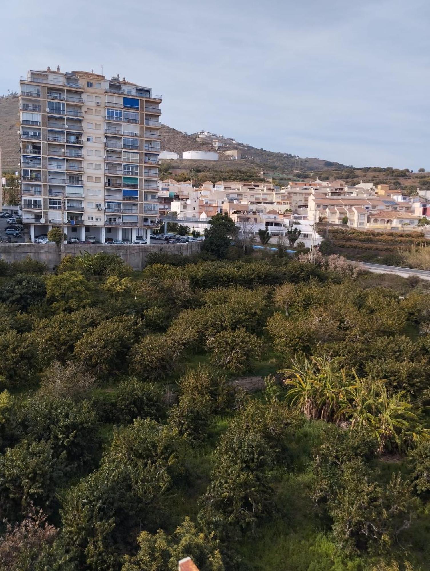 Room In Shared Apartment With Parking Almuñécar Exterior foto